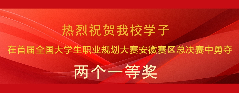 365英国上市集团官网在首届全国大学生职业规划大赛安徽赛区总决赛中勇创佳绩